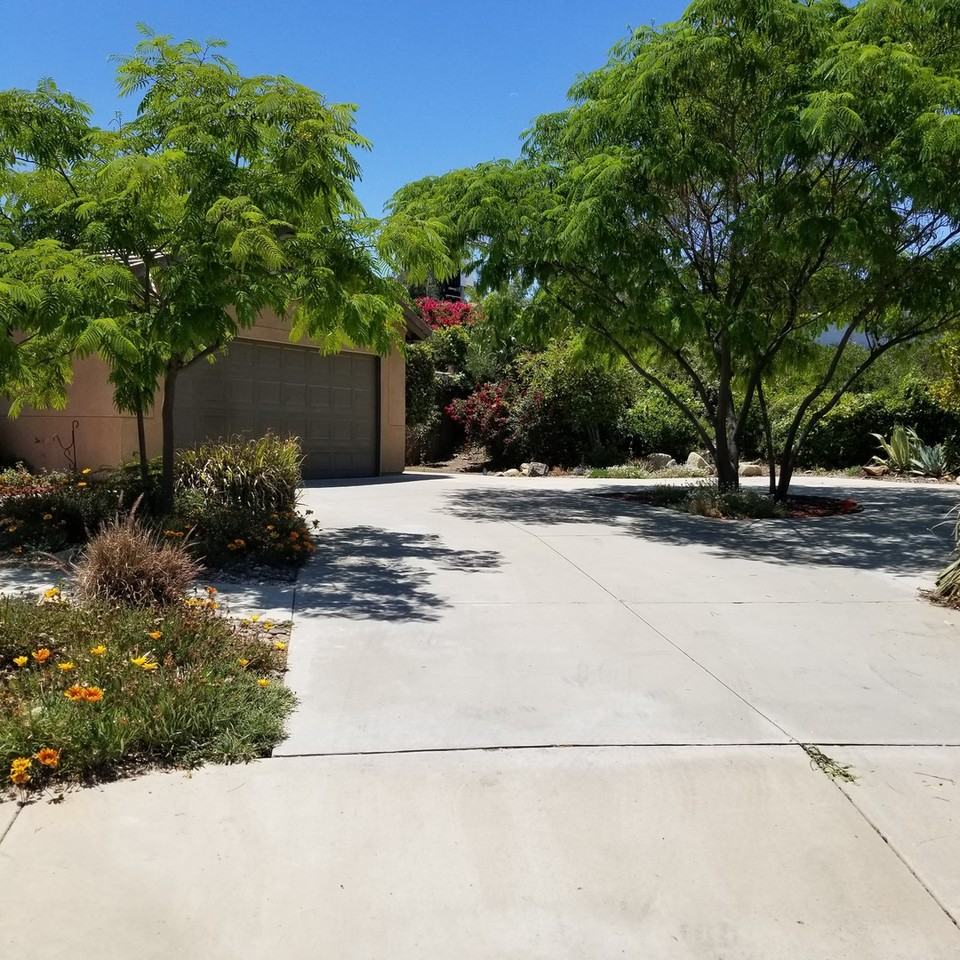 805 Alpine Ct - Photo 3 of 12
