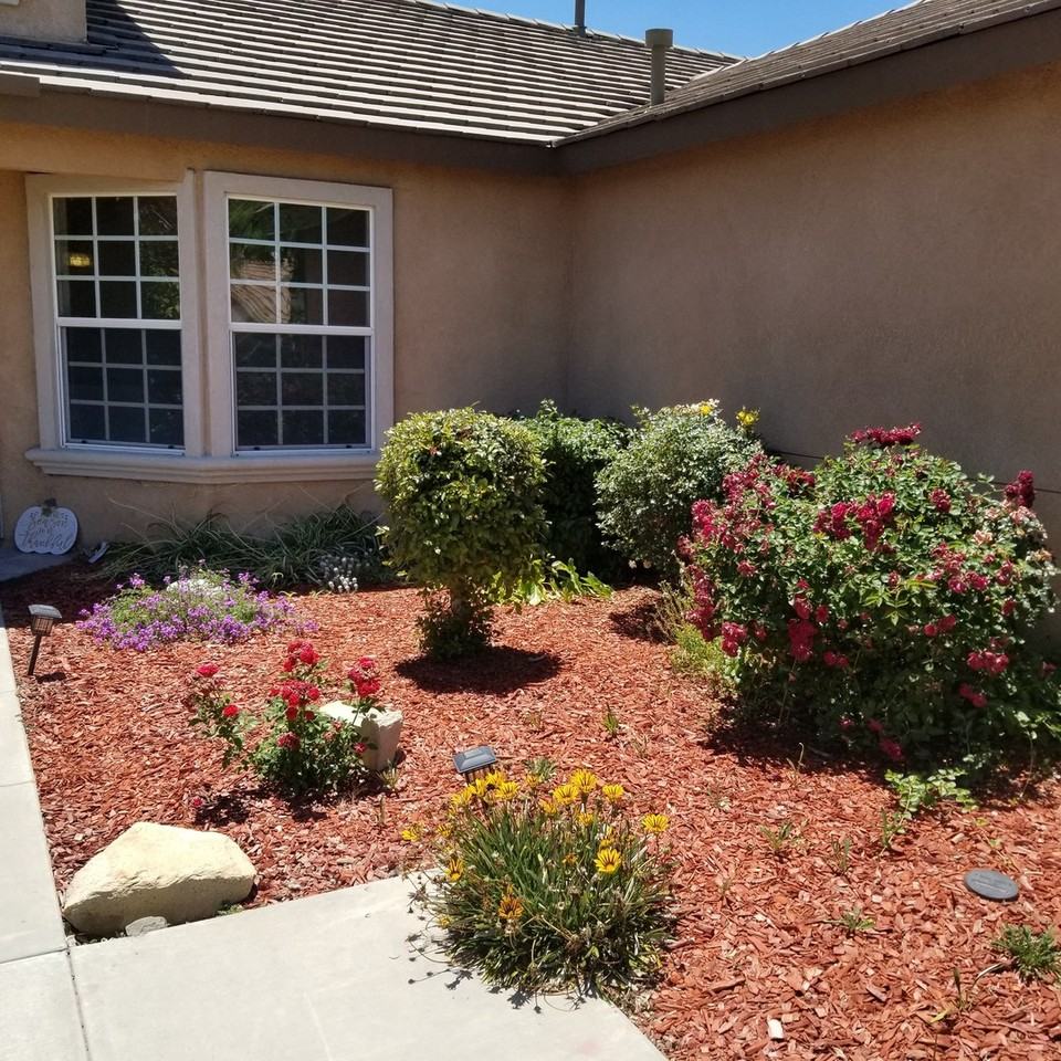 805 Alpine Ct - Photo 4 of 12