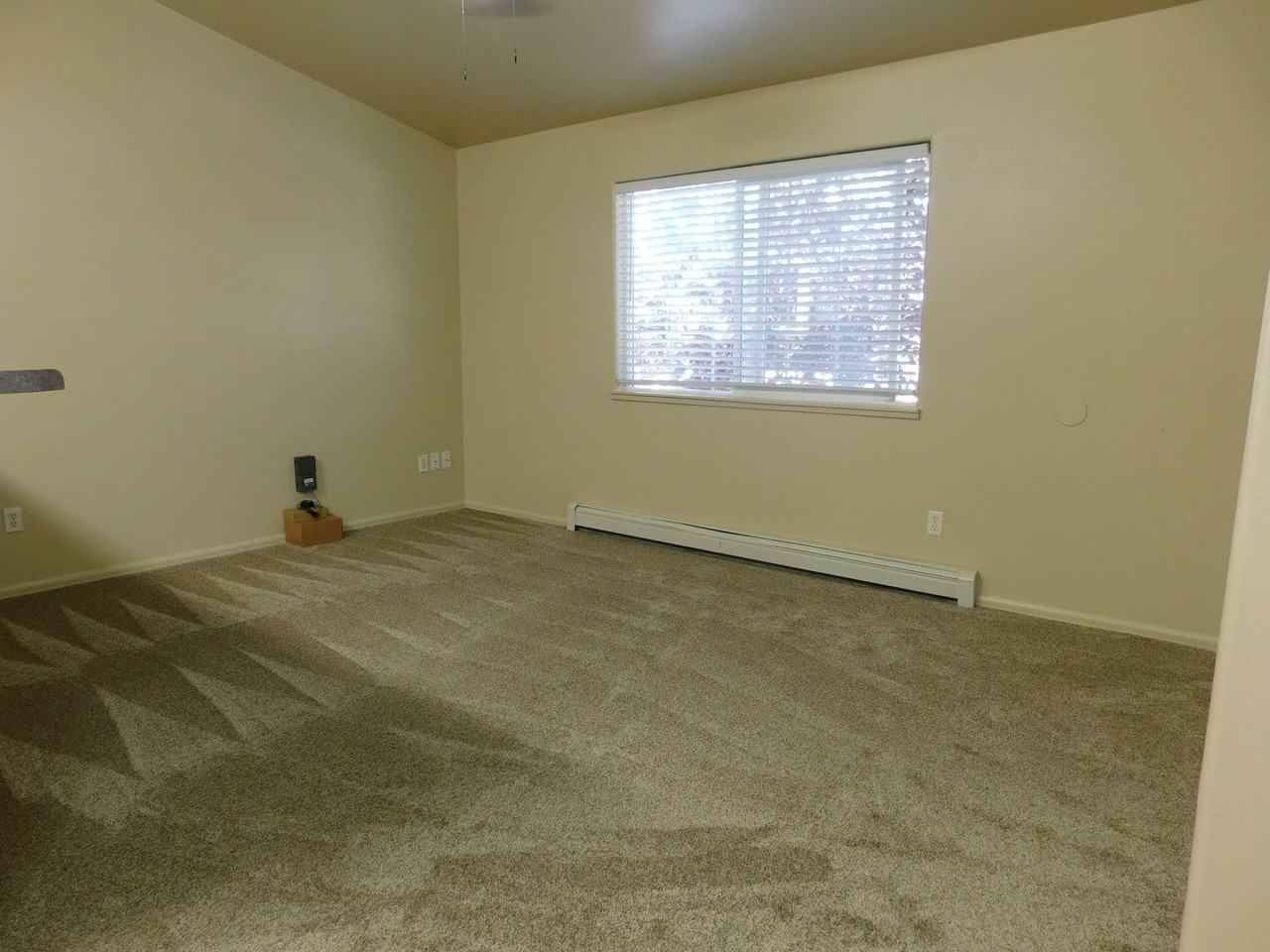 1107 E Carolina Ave #4 - Photo 6 of 17