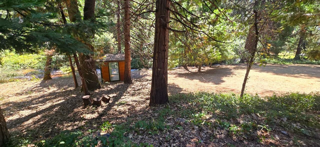 13831 Rattlesnake Rd - Photo 4 of 11