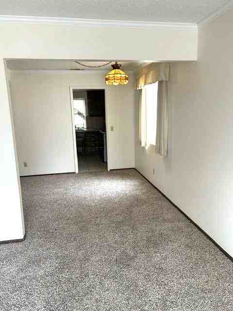 2428 El Rancho Cir - Photo 3 of 16