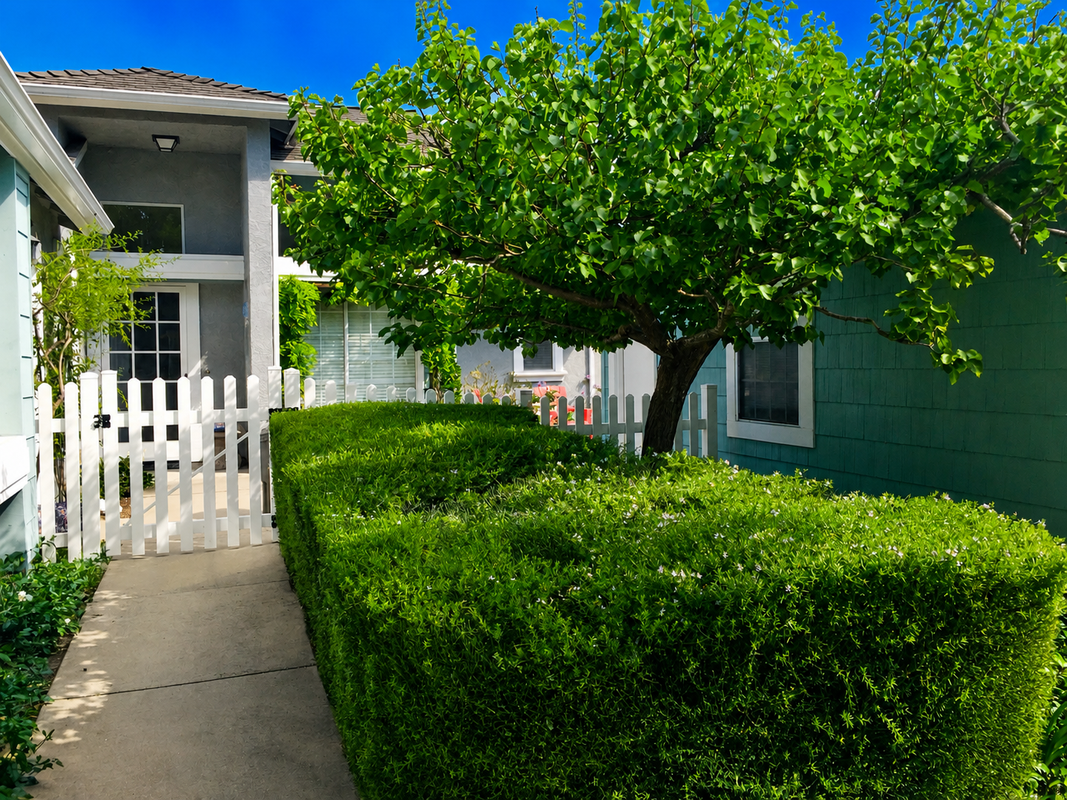 911 Bluebell Way - Photo 2 of 7