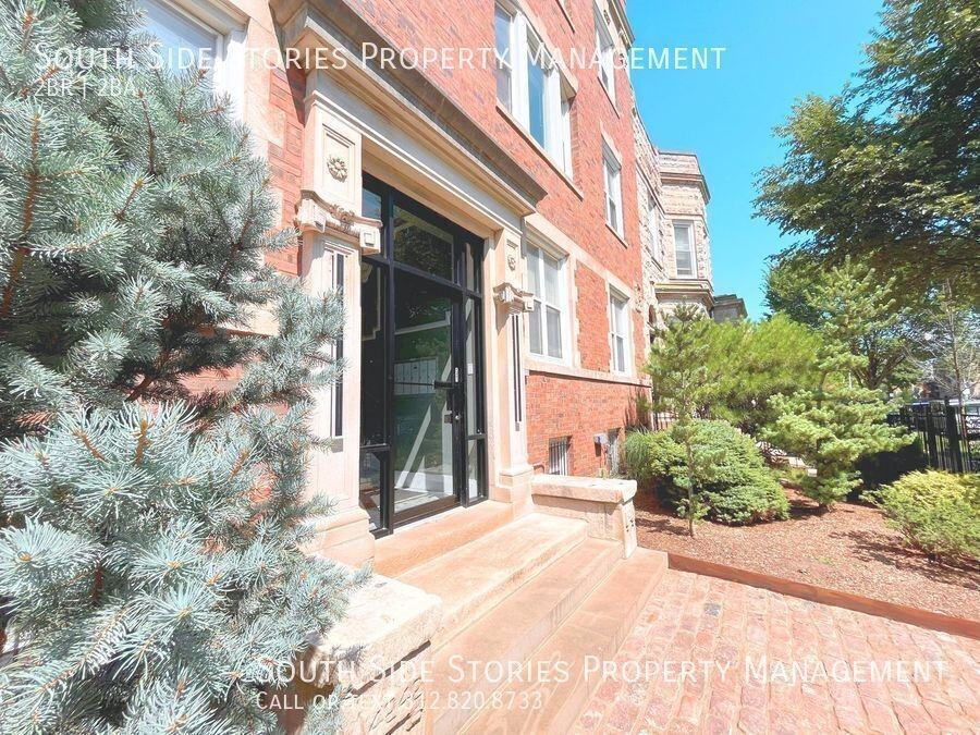 4242 S Calumet Ave #2S - Photo 6 of 34