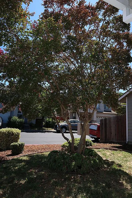 701 Deerfield - Photo 5 of 33