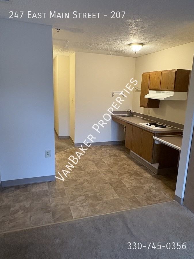 247 E Main St #207 - Photo 2 of 7
