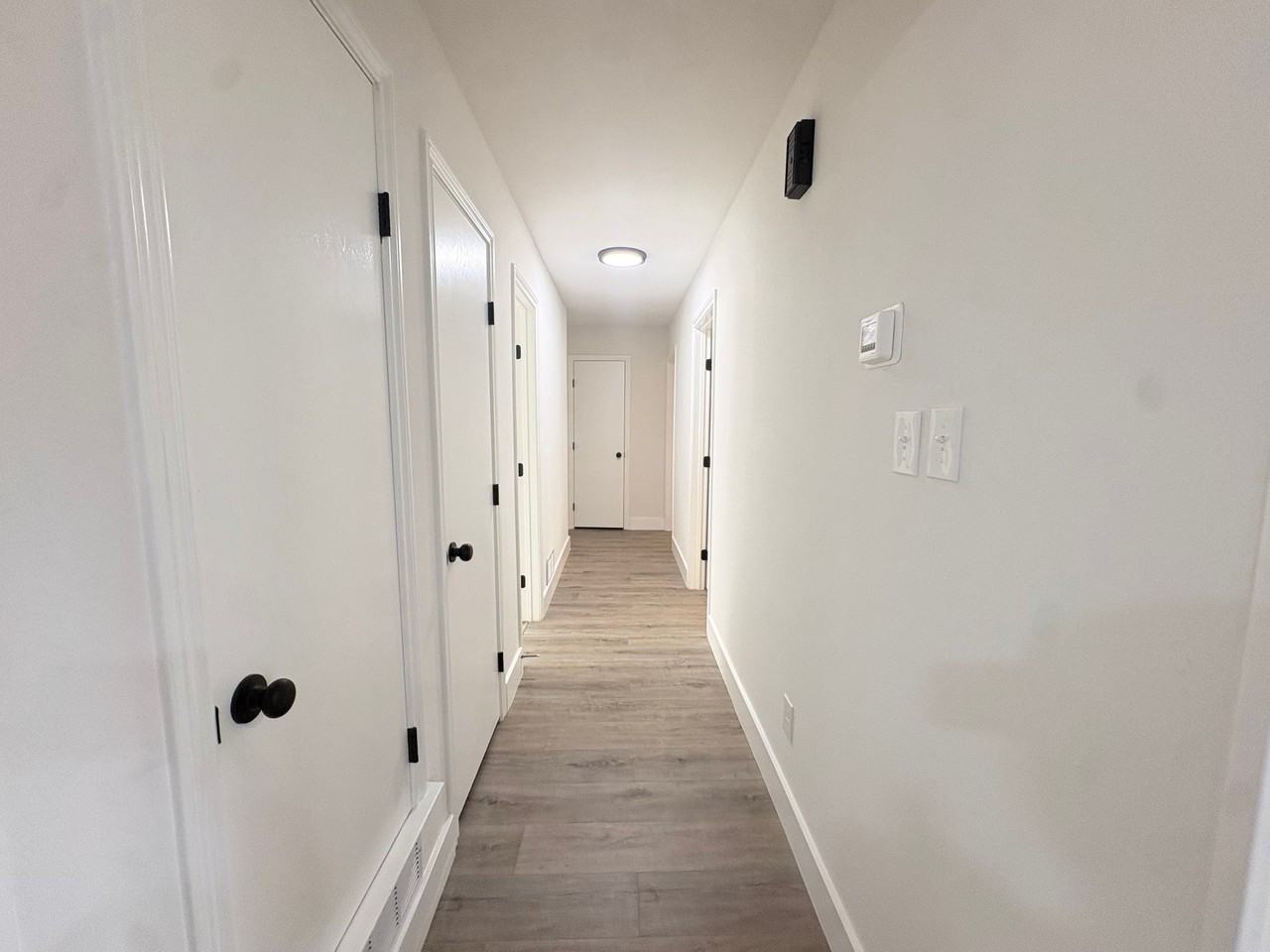 3802 Roan Cir - Photo 3 of 17