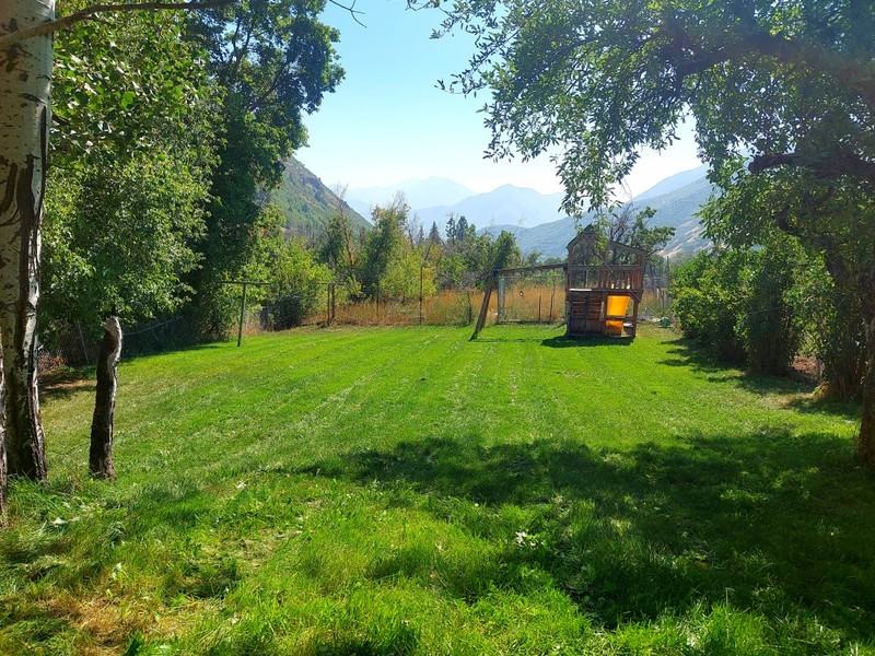 175 Hobble Creek Canyon Rd - Photo 4 of 31