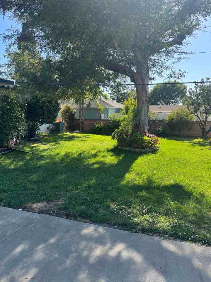 2011 E Orange Grove Ave - Photo 3 of 20