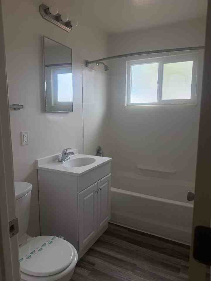 4539 Clairemont Dr - Photo 6 of 23