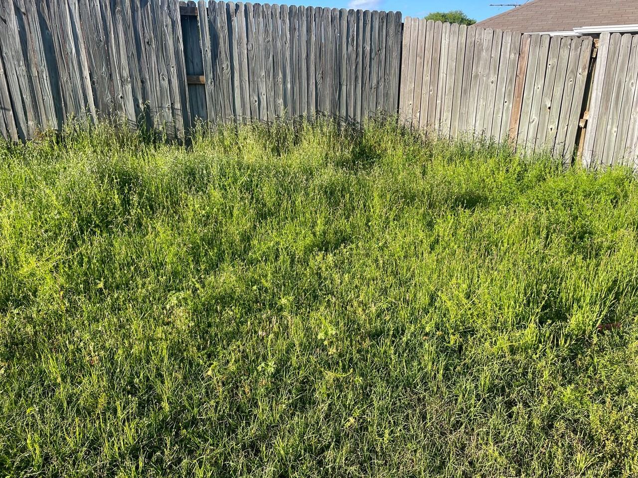 455 Redbud Cir - Photo 3 of 25