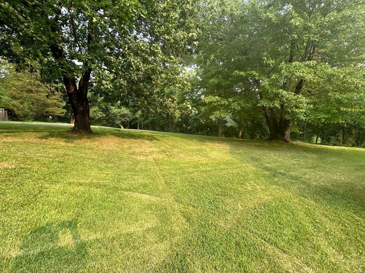 1330 Pughtown Rd - Photo 3 of 3