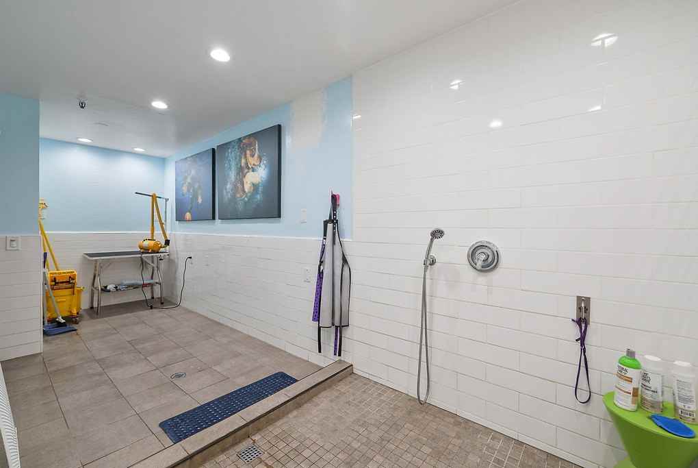 Belmont Terrace - Photo 6 of 39