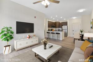featured image of 280 Salmon Brook St #3105A
