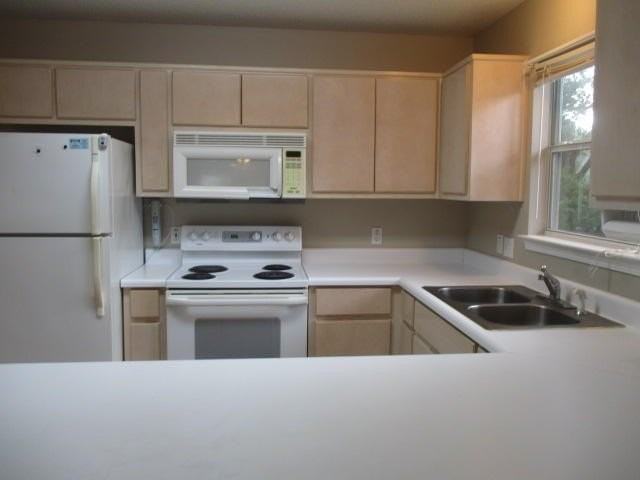 7720 Lola Cir - Photo 5 of 29