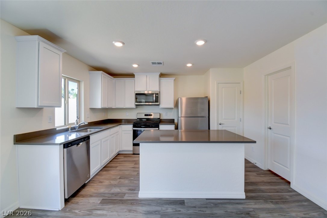 1705 Cowboy Path Ave - Photo 6 of 17