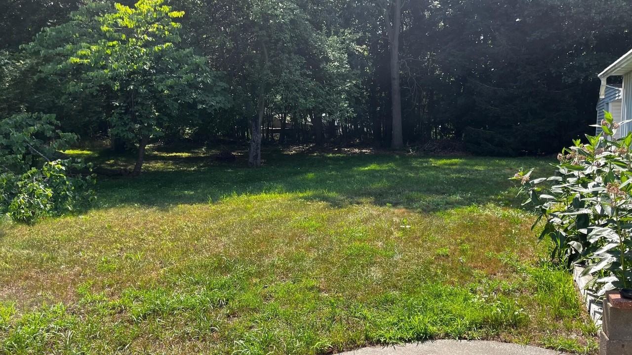 309 Friant St - Photo 3 of 37