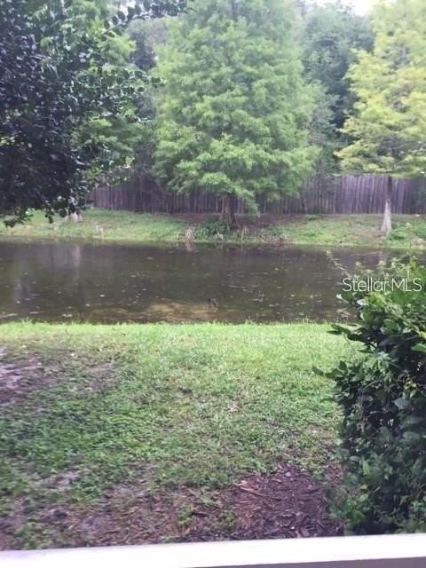 4134 Bismarck Palm Dr - Photo 3 of 21