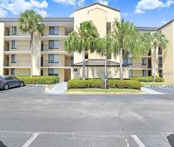 2424 W Tampa Bay Blvd #M205 - Photo 1 of 1