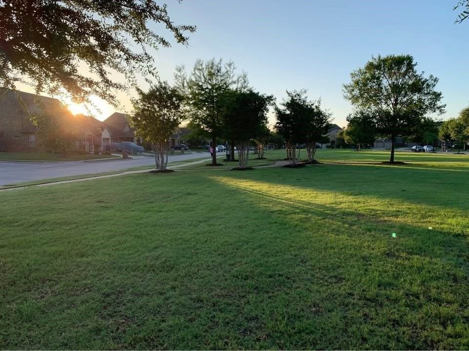 2321 Petunia Ln - Photo 3 of 14