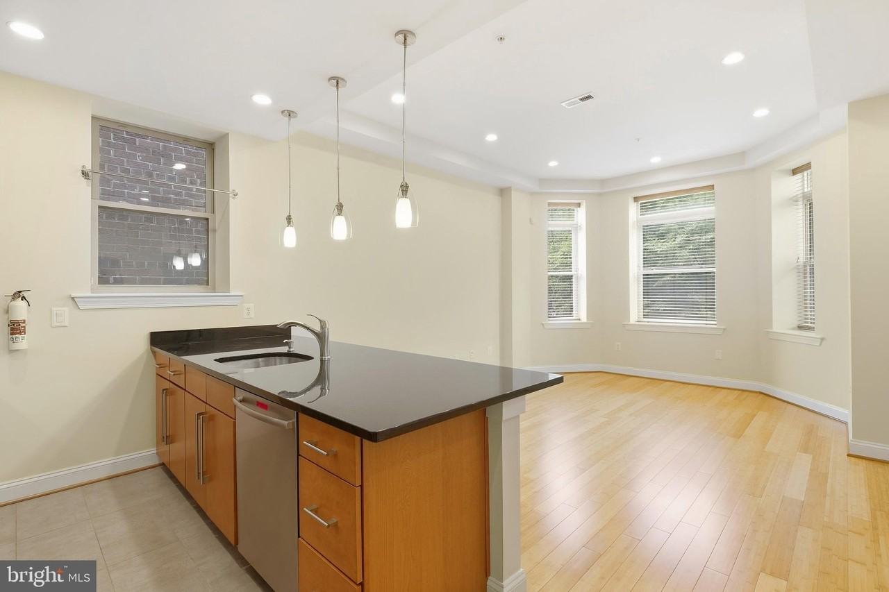 1333 Euclid St Nw #201 - Photo 5 of 18