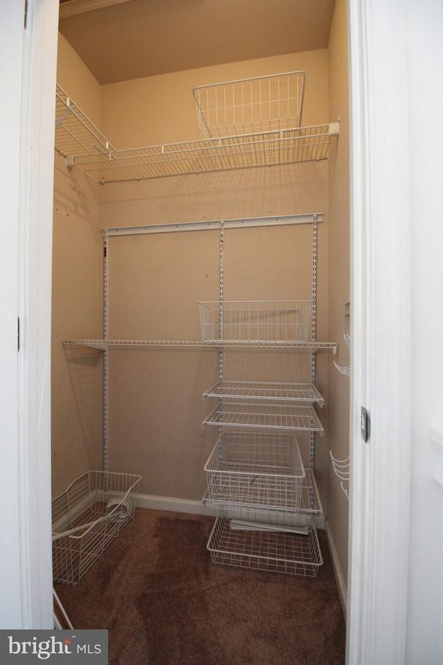 2965 Chinkapin Oak Ln - Photo 4 of 29
