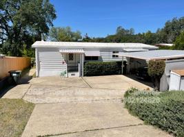 featured image of 533 Silver Leaf Dr