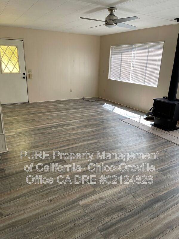533 Silver Leaf Dr - Photo 4 of 23