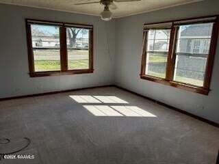 906 Abbeville Hwy - Photo 5 of 8