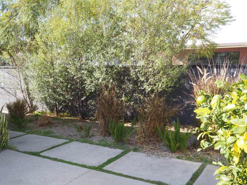 5347 W 138th St - Photo 7 of 27