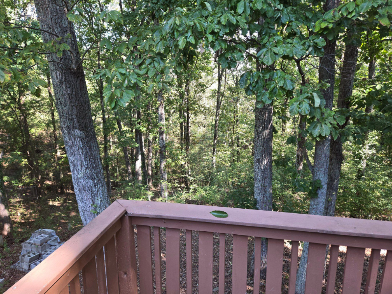 2035 Rock Bluff Rd - Photo 5 of 19