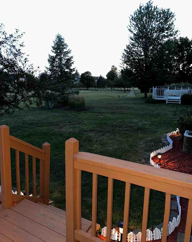 45071 Lothrop Ct - Photo 3 of 16