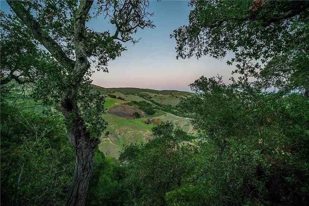4411 See Canyon Rd - Photo 5 of 26