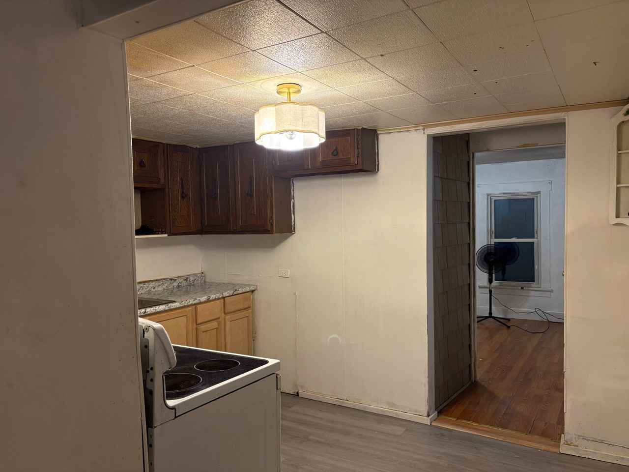 116 1/2 Woodland Ave - Photo 7 of 11