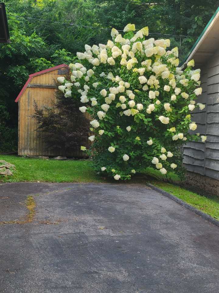 11 Crystalwood Ln #NA - Photo 6 of 17
