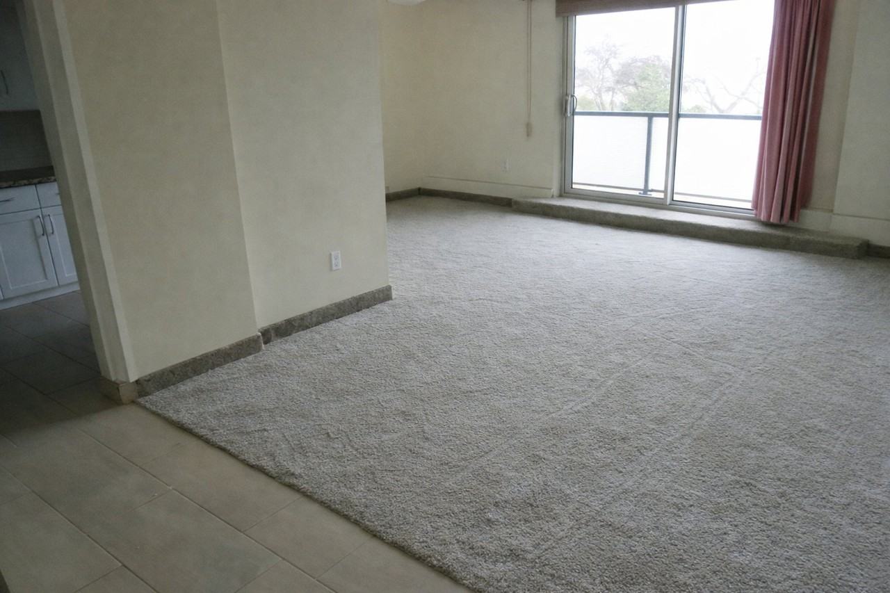 1179 Grant Ave - Photo 4 of 13