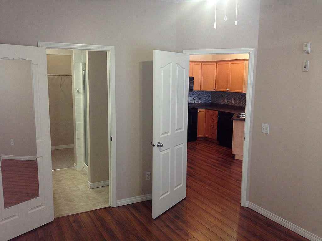 369 The Pavilions Of Rocky Ridge - Photo 5 of 19