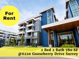 6220 Gooseberry Drive #119 - Photo 1 of 1