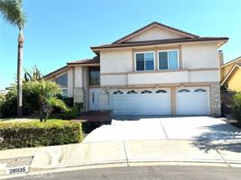 featured image of 28935 Curlew Ln