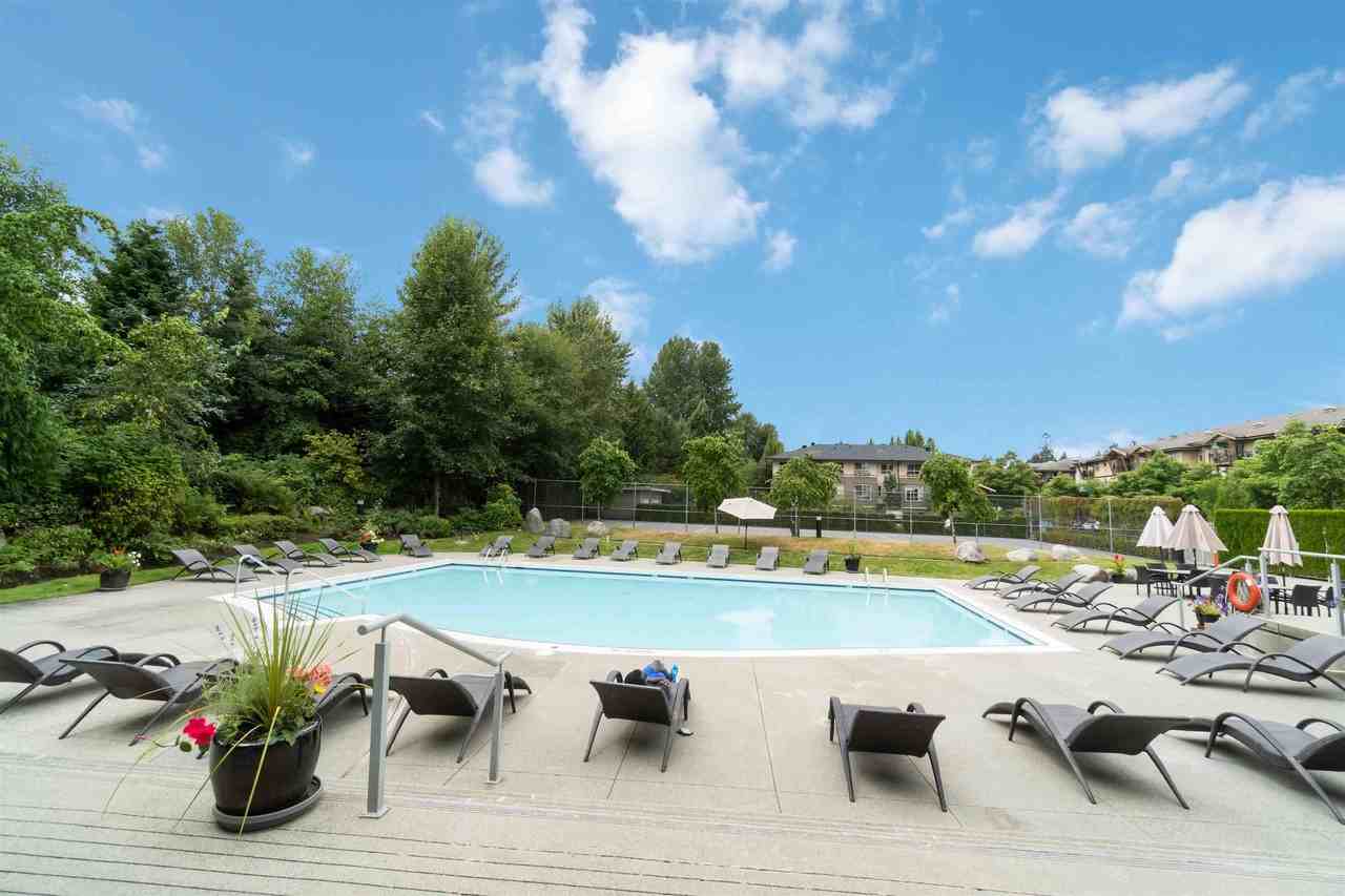 305 Morrissey Road - Photo 23
