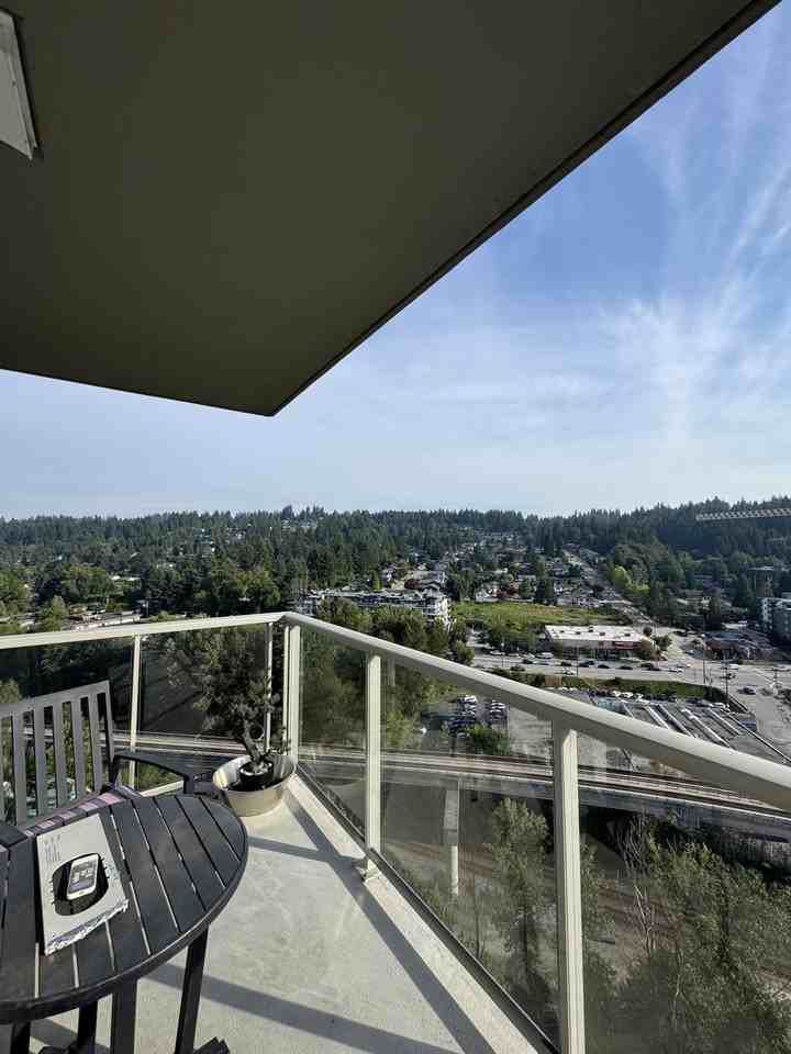 305 Morrissey Road - Photo 24