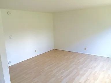 7319 Woodlawn Ave Ne #7319 - Photo 4 of 16