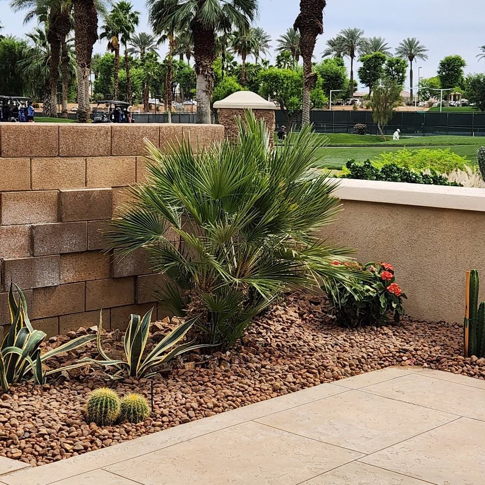 44010 Royal Troon Dr #NA - Photo 5 of 19