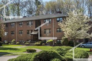 featured image of 282 Grove St