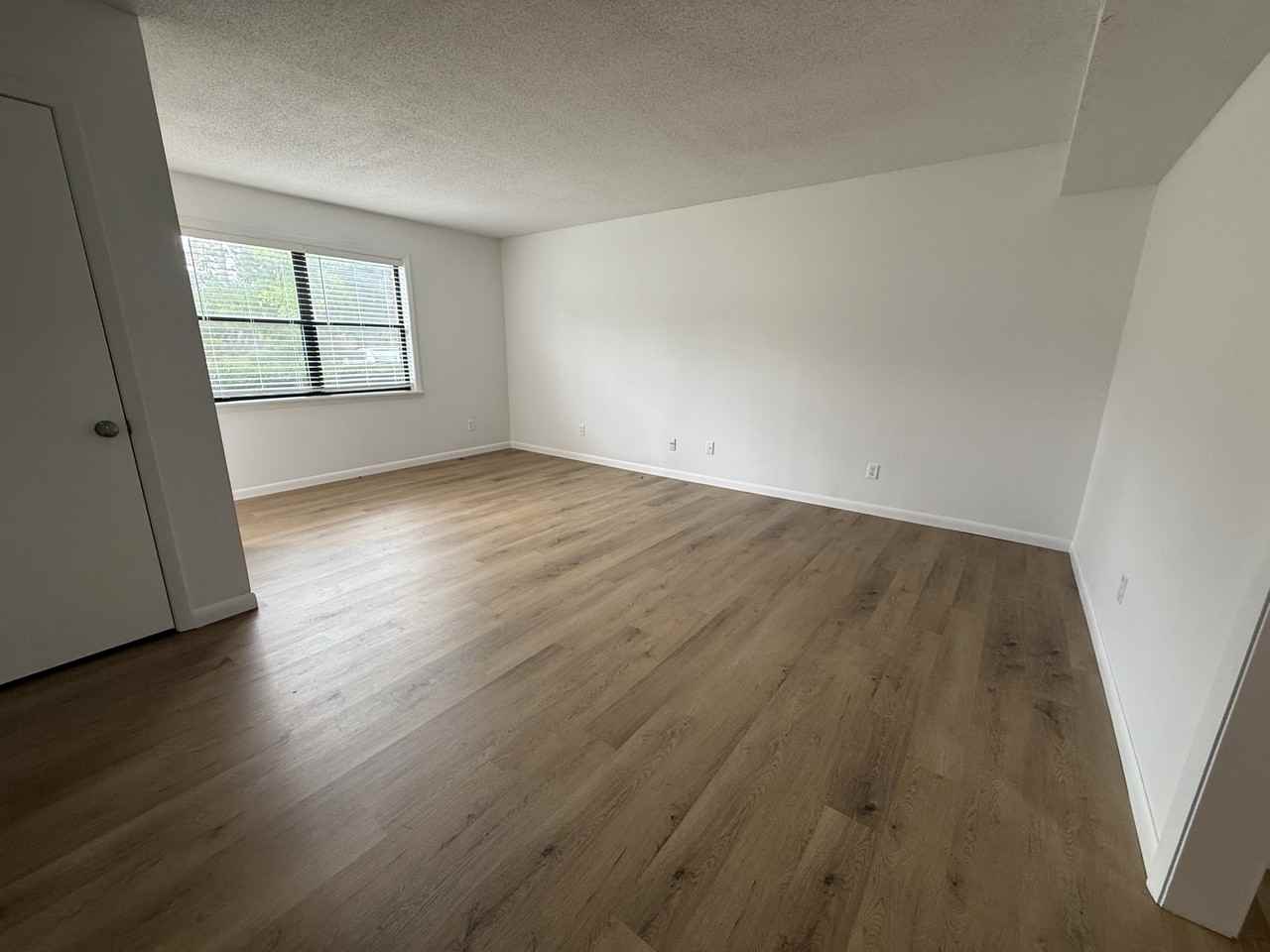 902 Darling Ave #1 - Photo 6 of 10