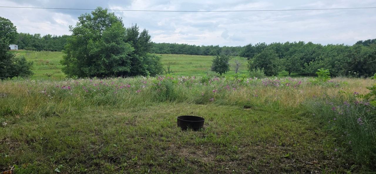 13497 Center Rd - Photo 2 of 23
