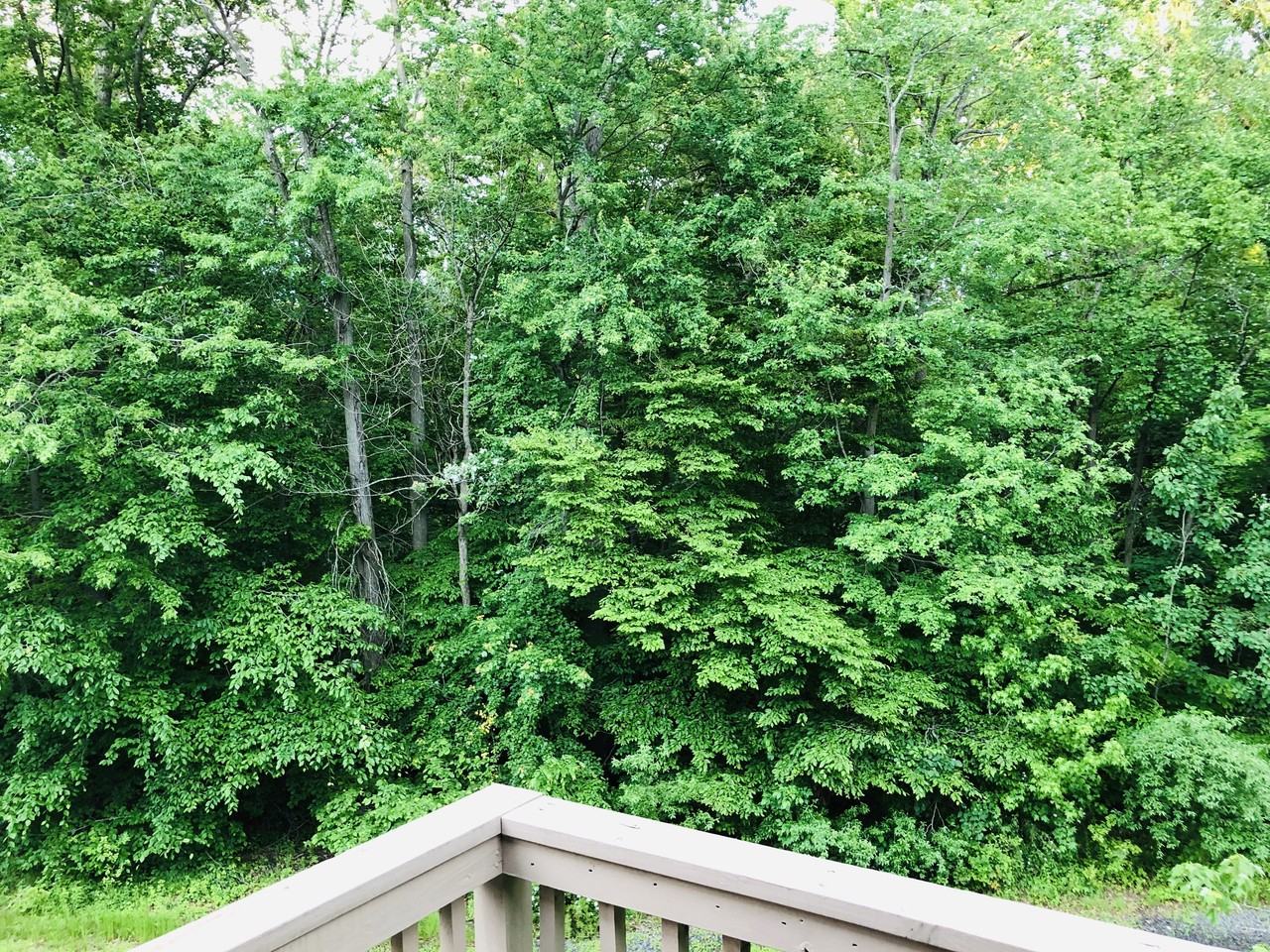 6122 Cedar Court #6122 - Photo 2 of 28