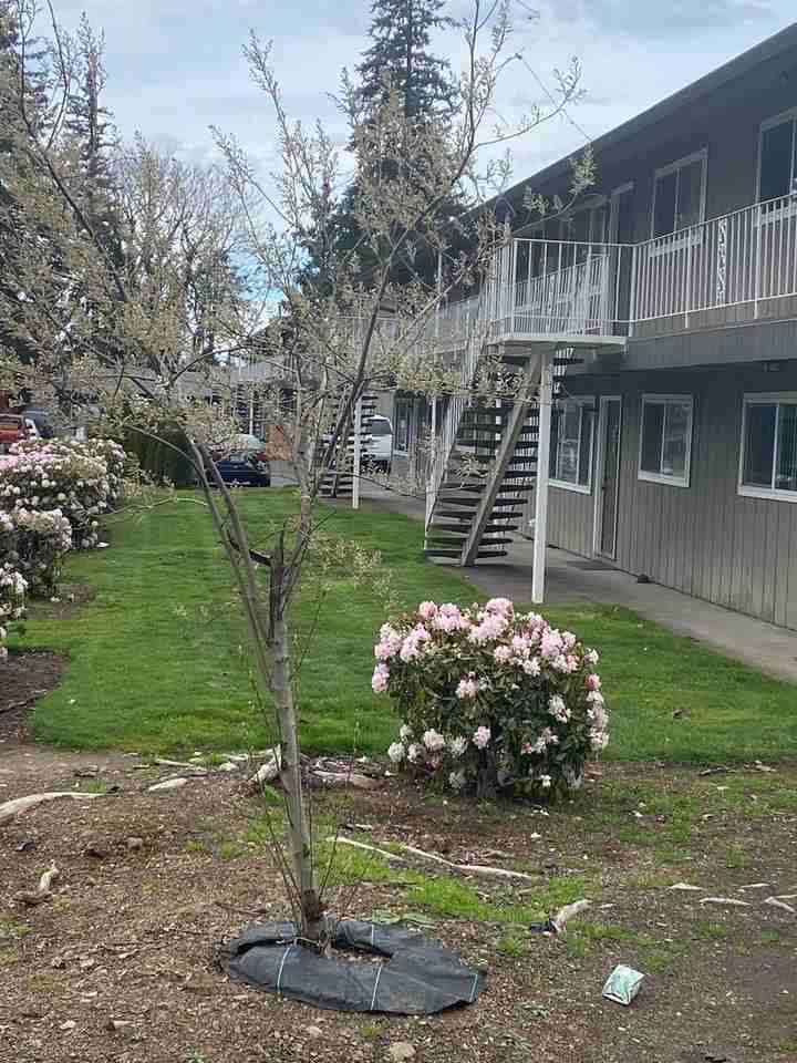 17925 E Burnside St - Photo 3 of 27