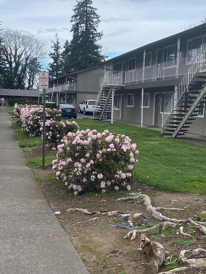 17925 E Burnside St - Photo 4 of 27