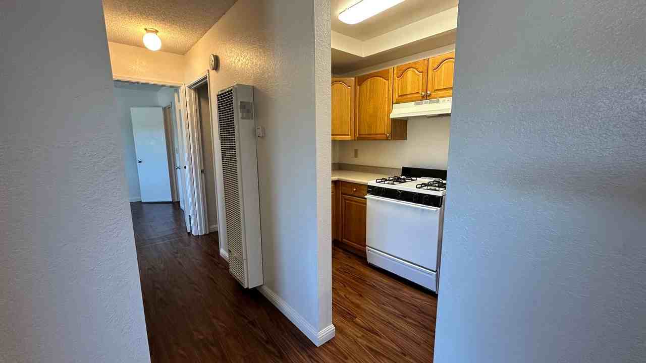 Chestnut Village Apartments - Photo 3 of 16