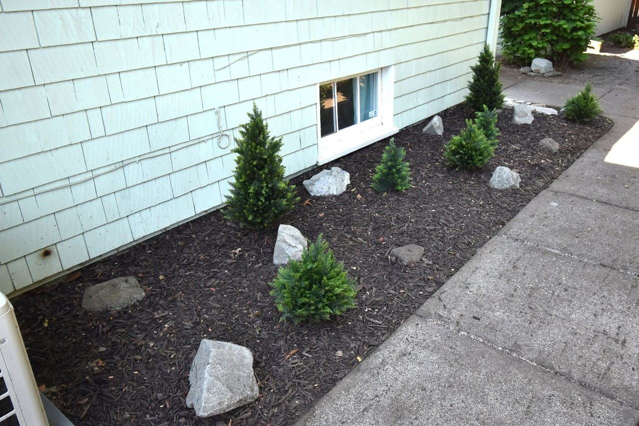 586 Grove St - Photo 4 of 42
